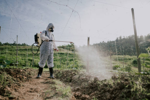 Best Commercial Pest Control Services  in Menifee, CA