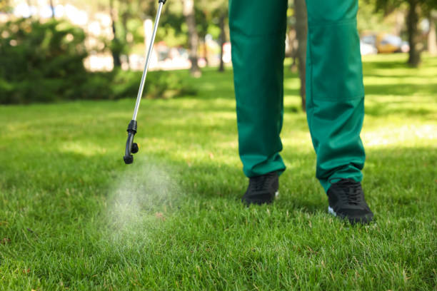 Best Pest Inspection Near Me  in Menifee, CA