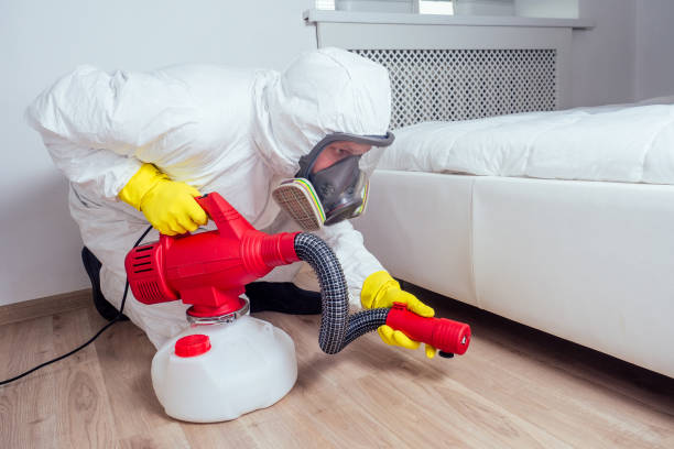 Best Pest Prevention Services  in Menifee, CA