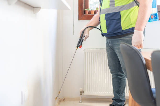 Best Flea Control Services  in Menifee, CA