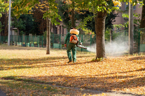 Trusted Menifee, CA Pest Control Experts