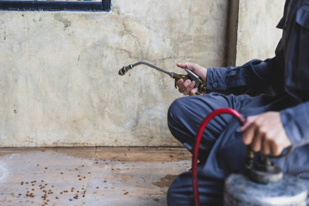 Best Best Pest Control Companies  in Menifee, CA