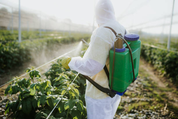 Best Wildlife Control Services  in Menifee, CA